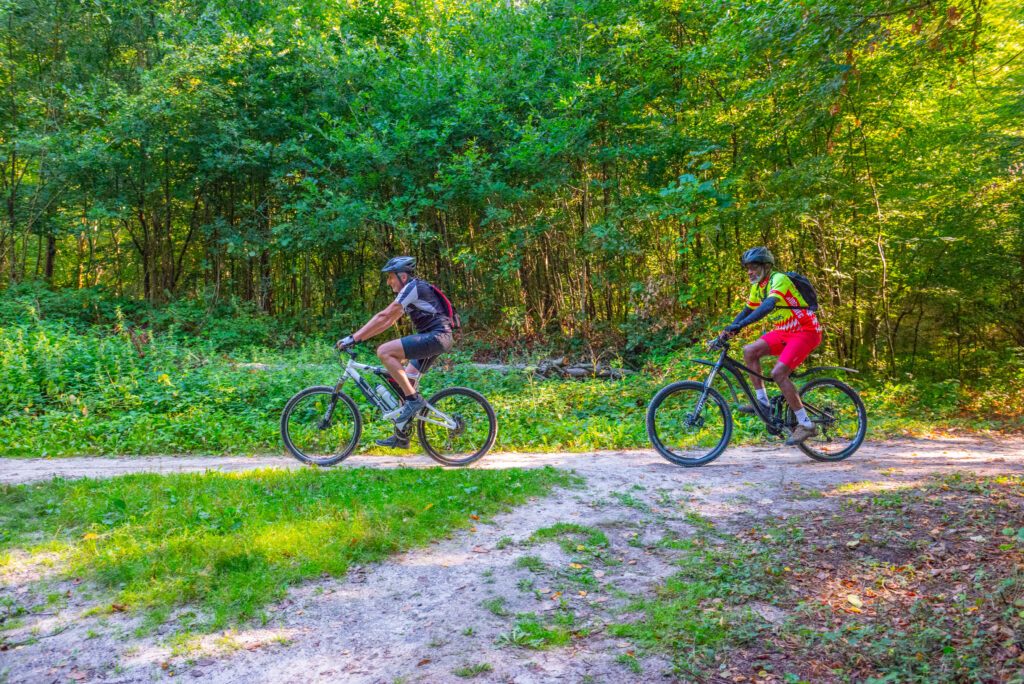 Forêt de Rambouillet en vélo