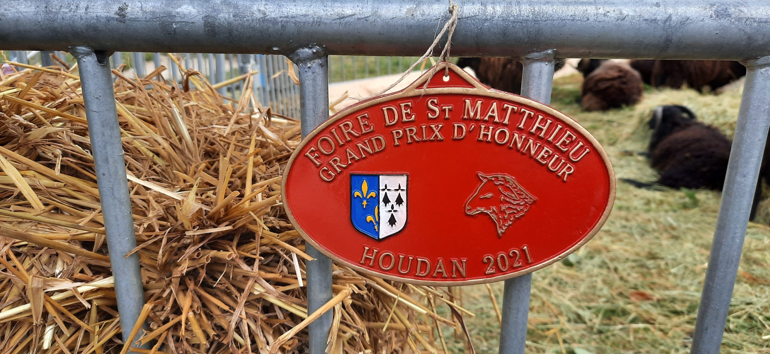 Foire Saint Matthieu