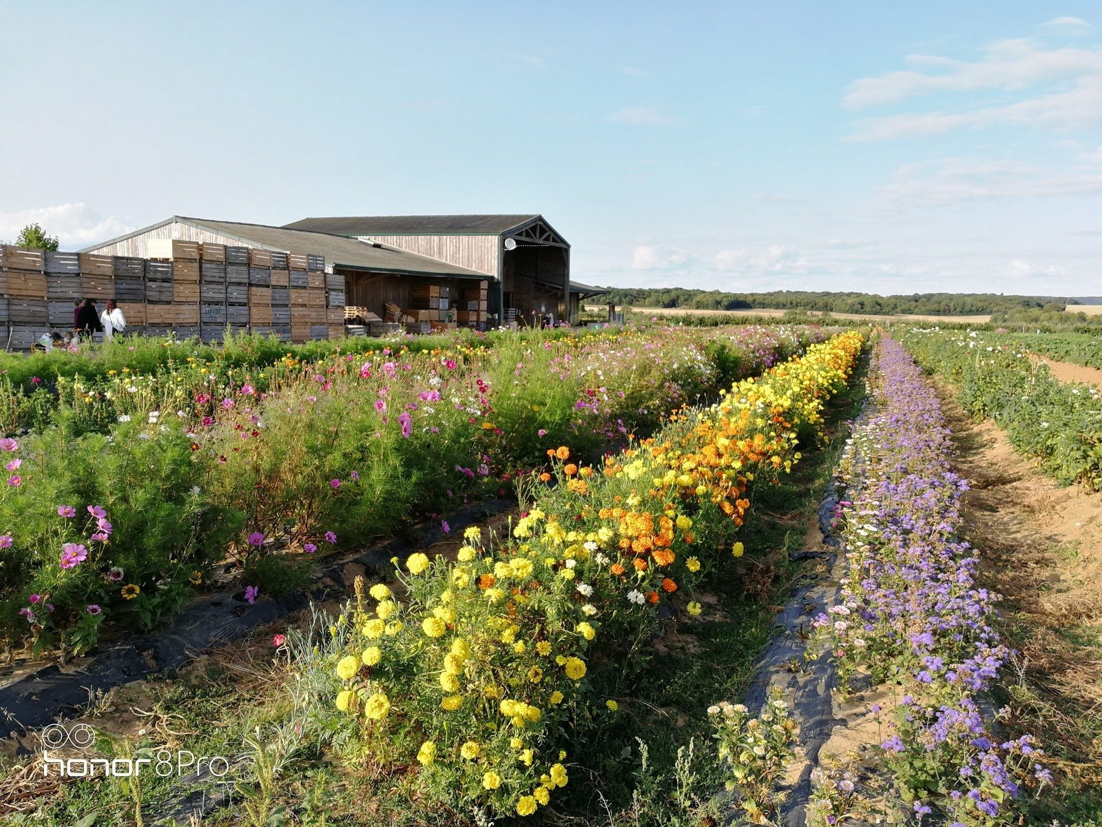 Ferme du Logis