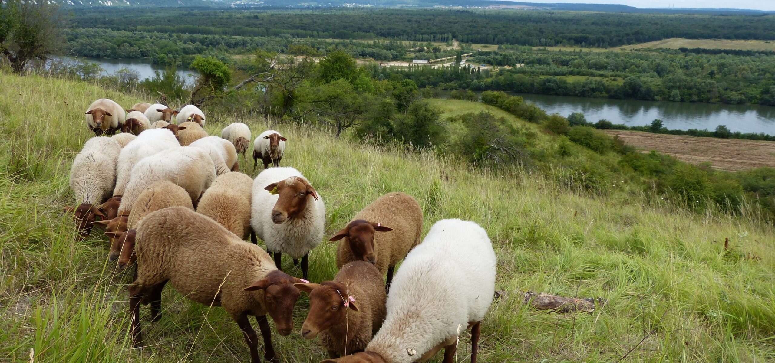 Réserve naturelle nationale des Coteaux de la Seine