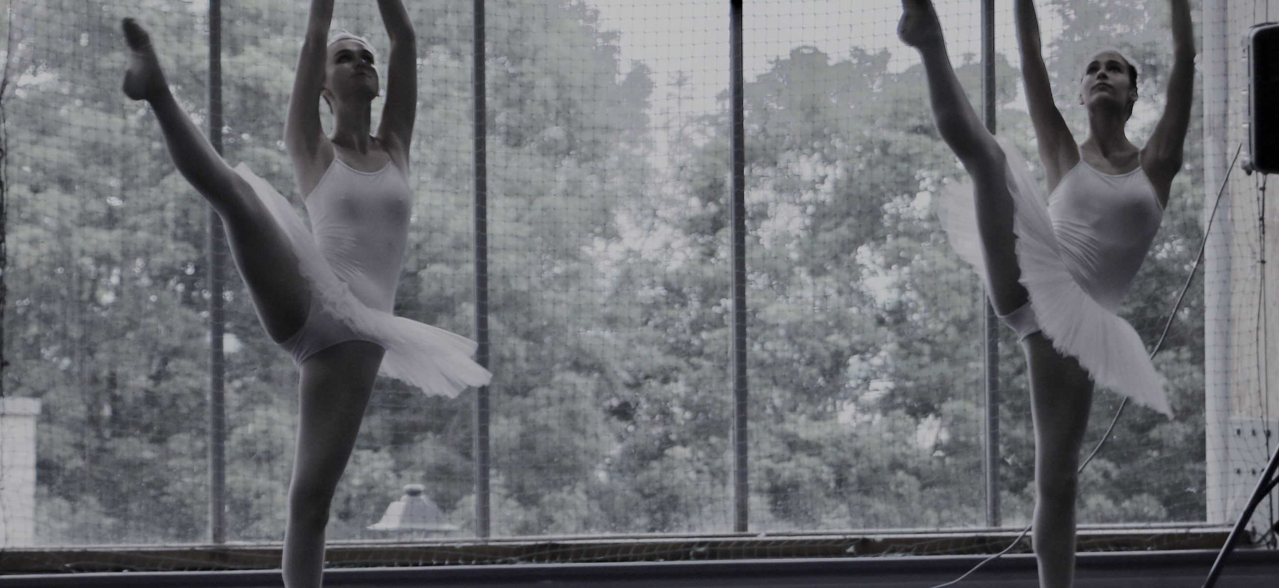 Danse classique d'Anne Largilliière