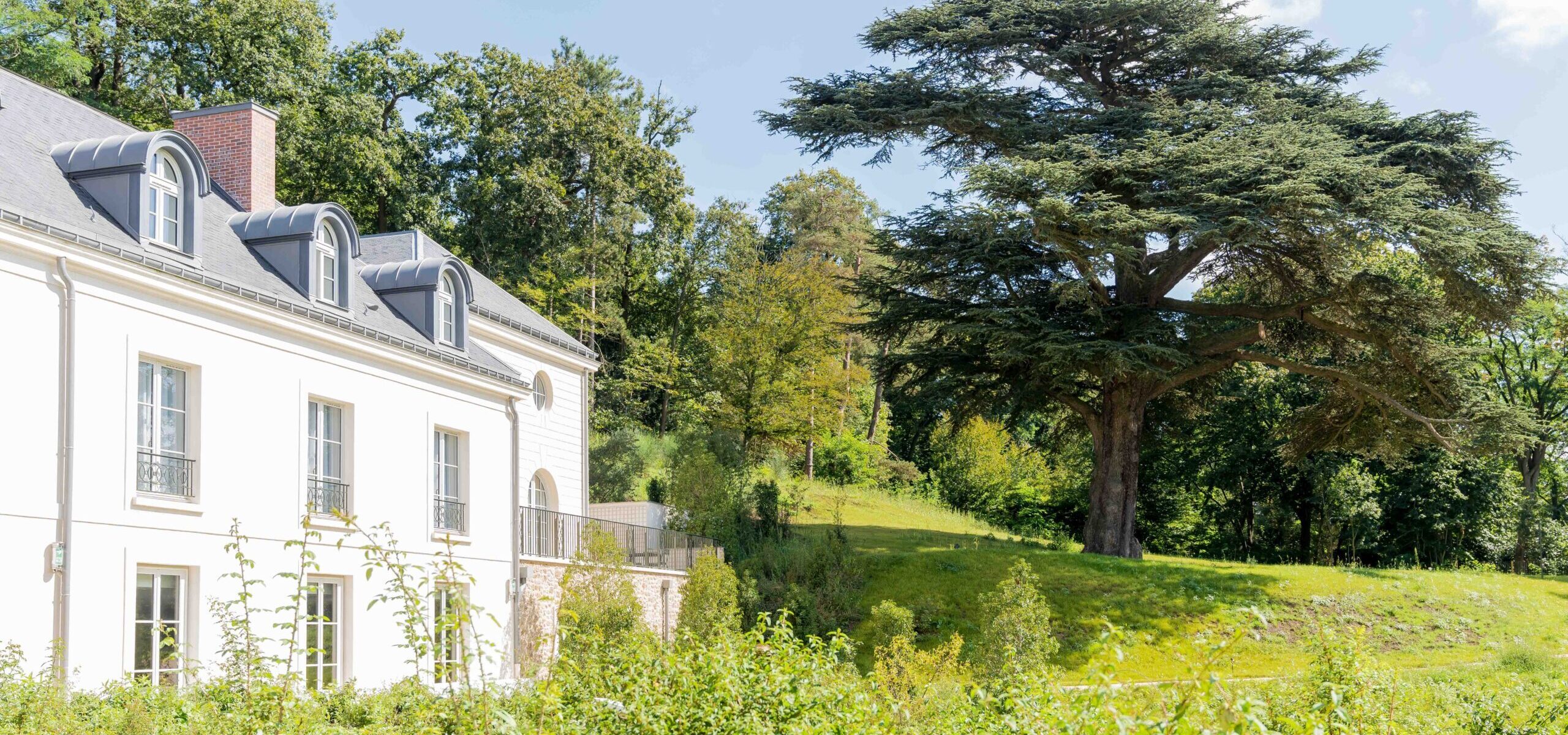 Dolce by Wyndham Versailles - Domaine du Montcel_Jouy-en-Josas