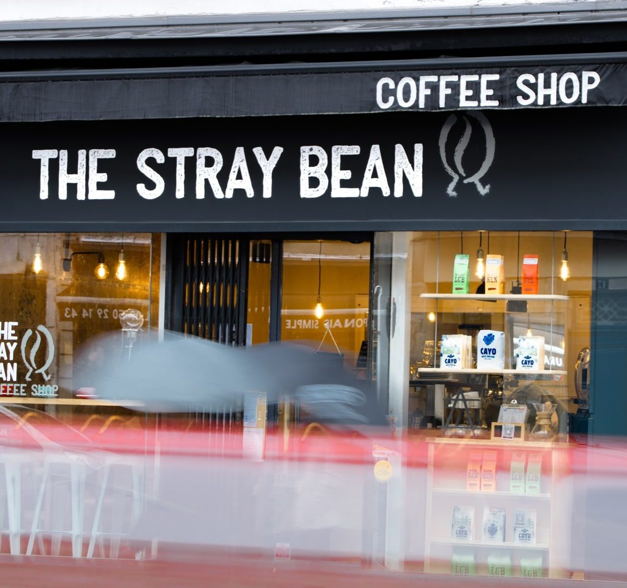 The Stray Bean