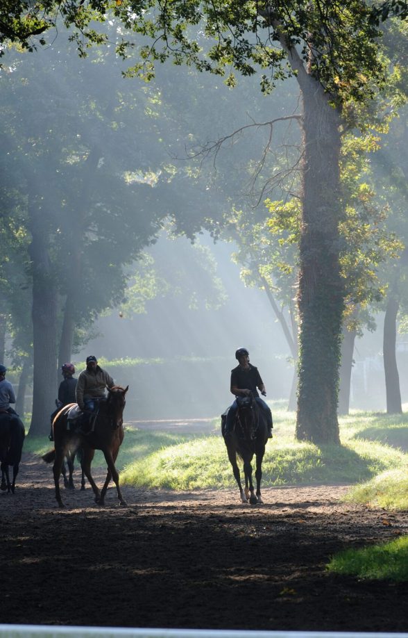 Centre d'entraînement de chevaux de course à Maisons-Laffitte