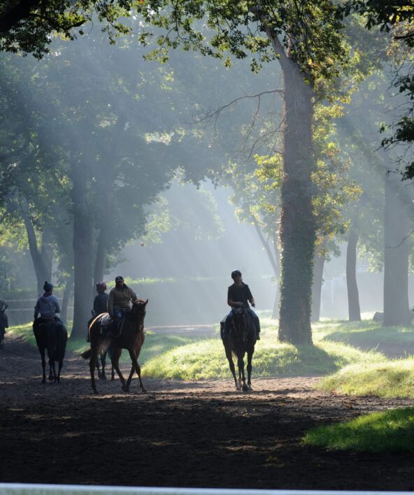 Centre d'entraînement de chevaux de course à Maisons-Laffitte