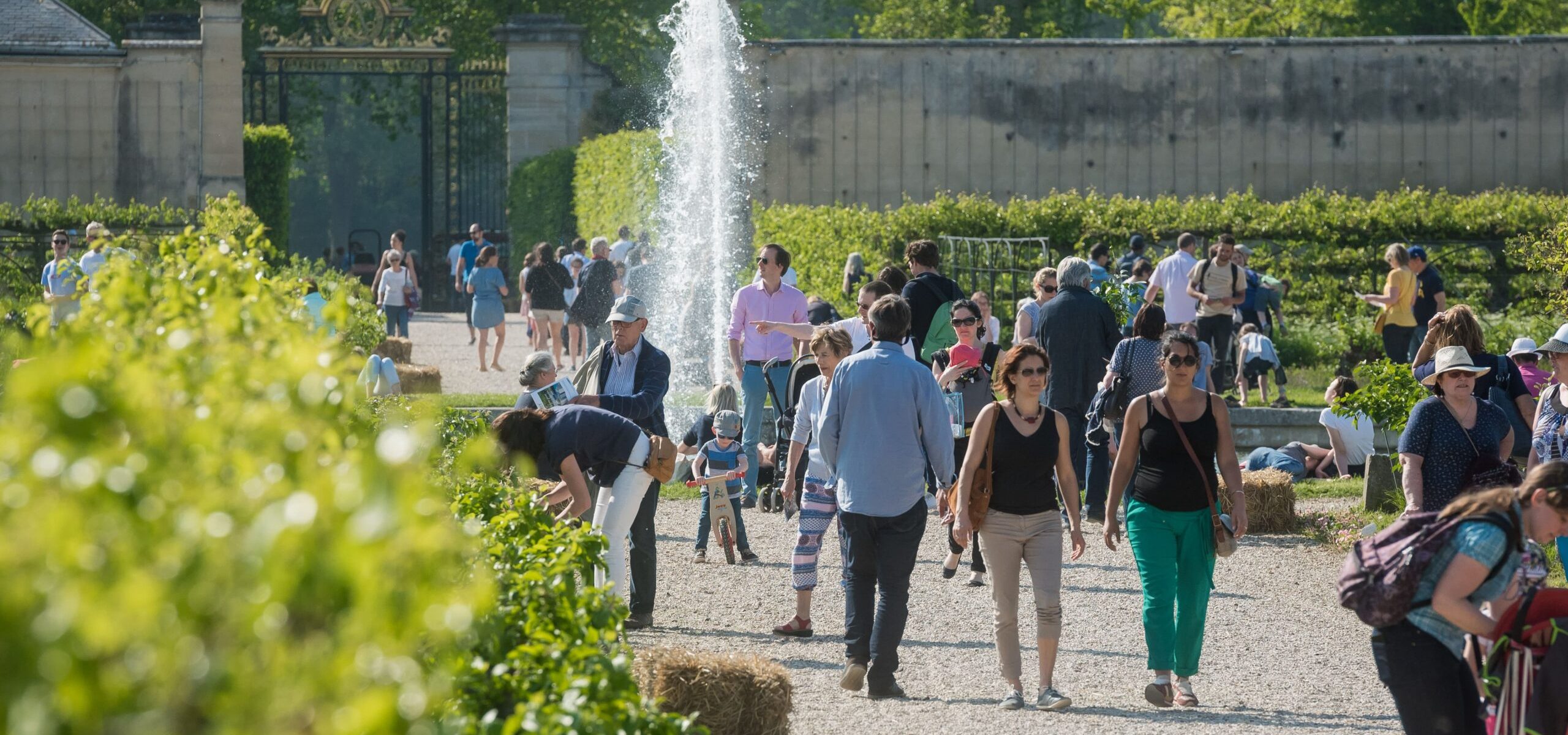 Potager du Roi