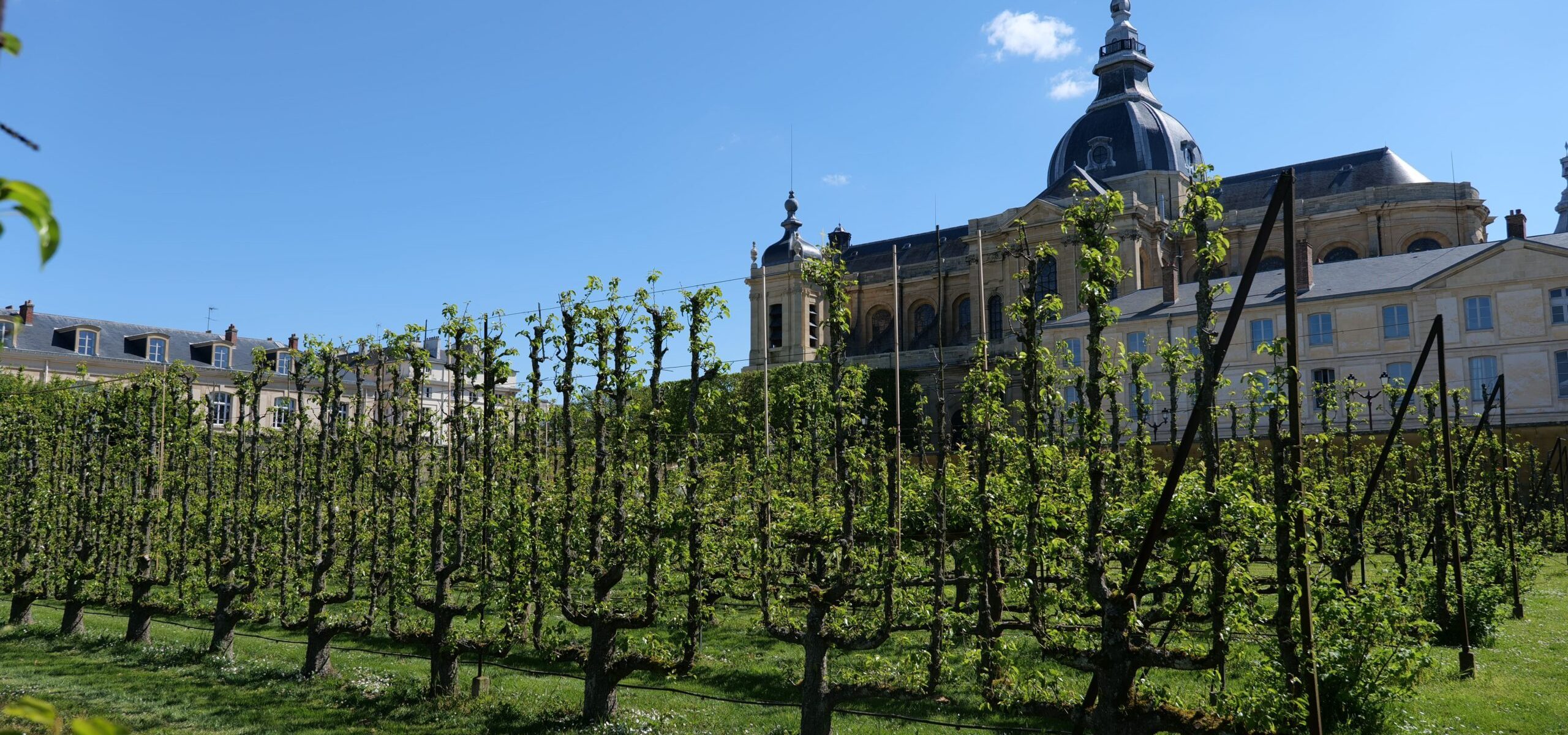 Potager du Roi