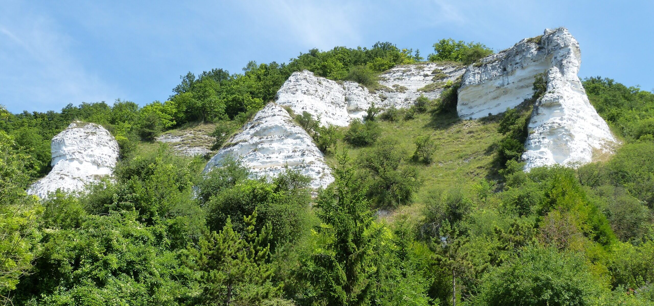 Réserve naturelle nationale des Coteaux de la Seine