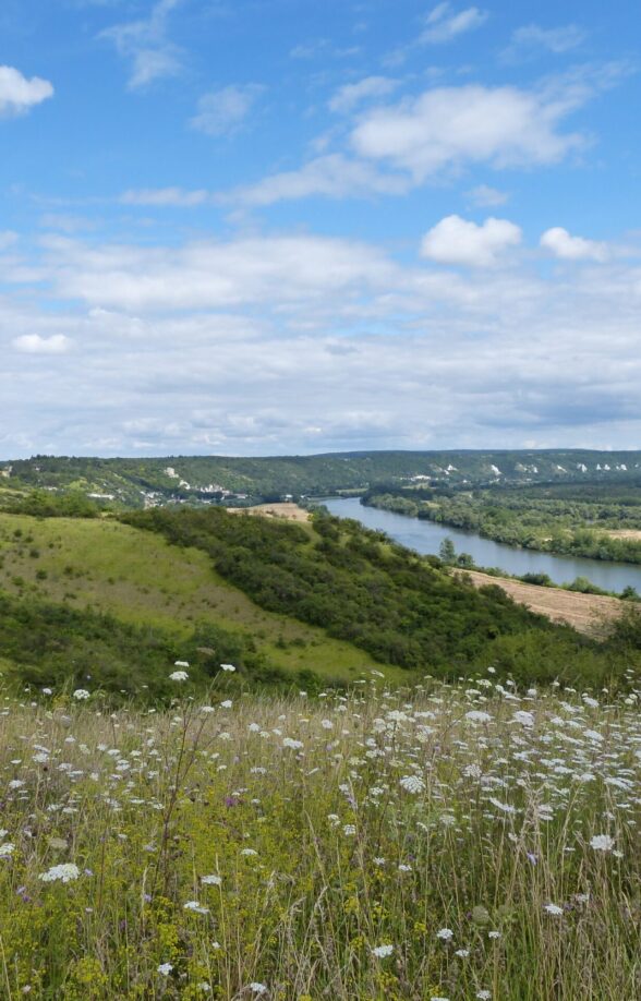 Réserve naturelle nationale des Coteaux de la Seine