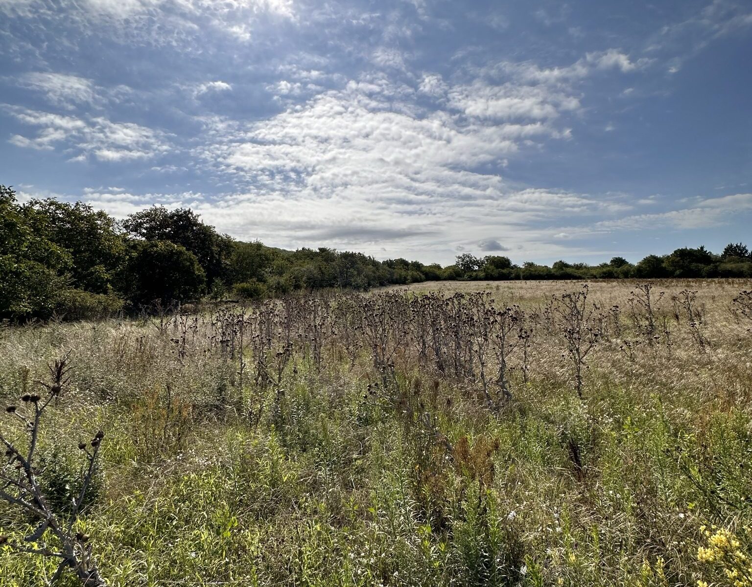 La campagne