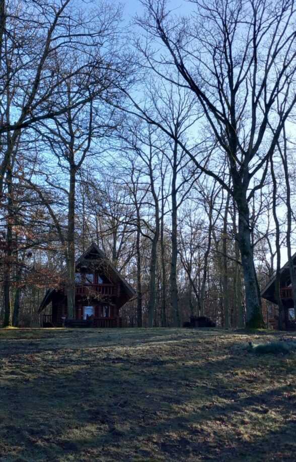 Chalets finlandais - Domaine de la Butte Ronde_La Boissière-École