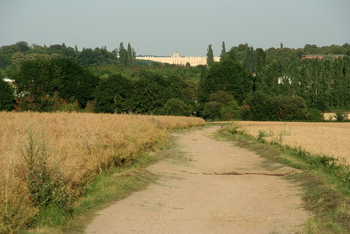 L'allée Royale