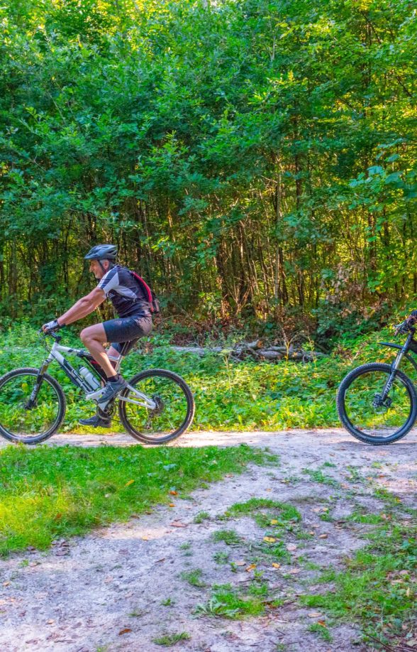 Forêt de Rambouillet en vélo