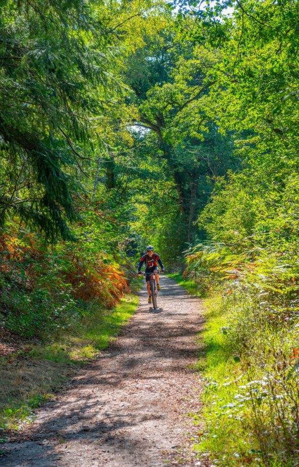 Vélo en forêt de Rambouillet