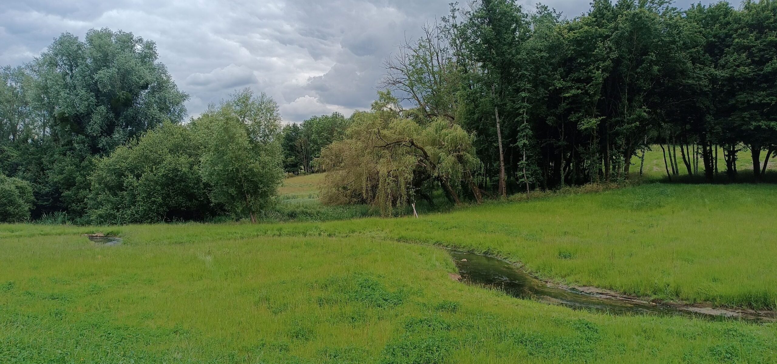 Paysage de la Bièvre