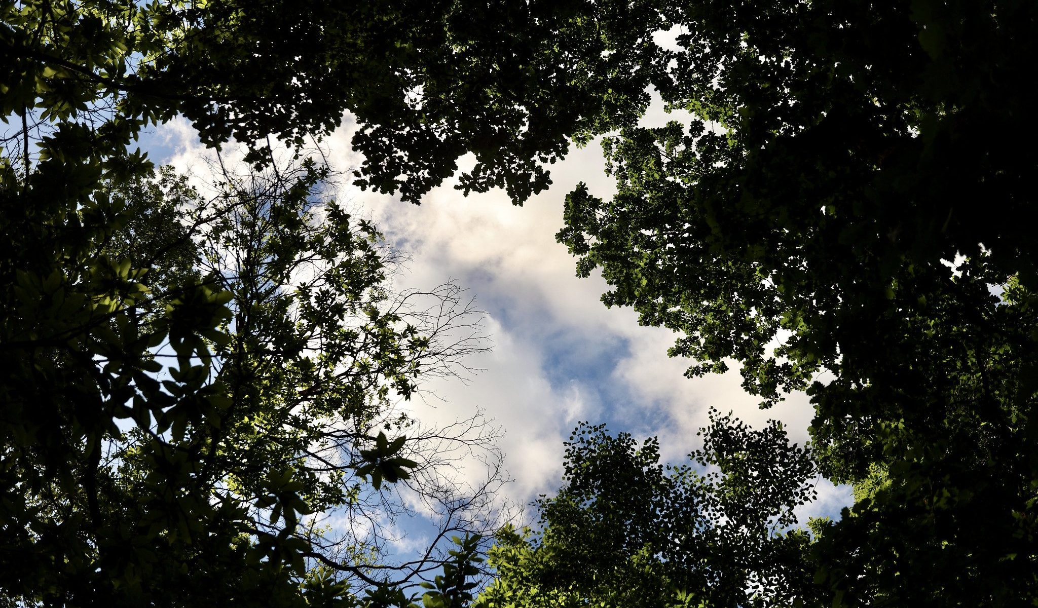 Parcours tailles d'Herbelay