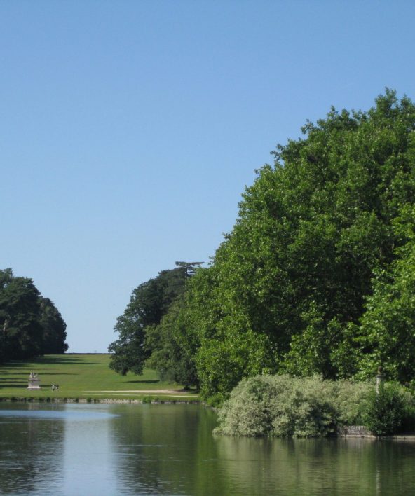 Découverte des arbres remarquables du domaine de Rambouillet