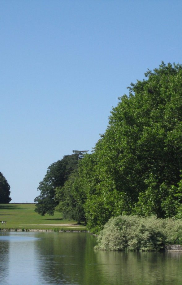 Découverte des arbres remarquables du domaine de Rambouillet