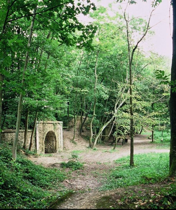 Forêt de Marly