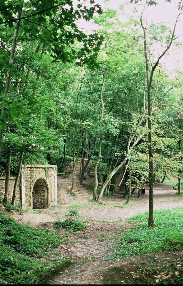 Forêt de Marly