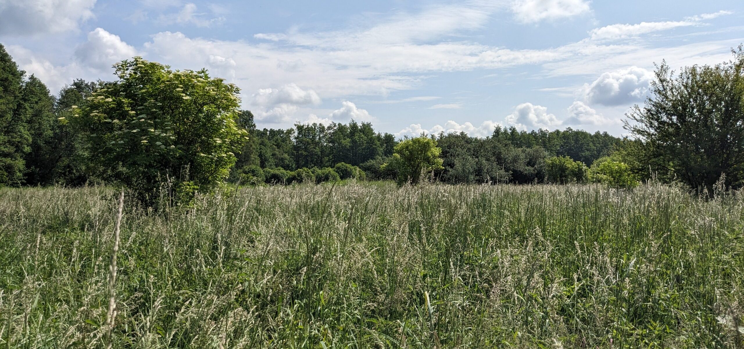 Site départemental de la Poussarderie_Sonchamp