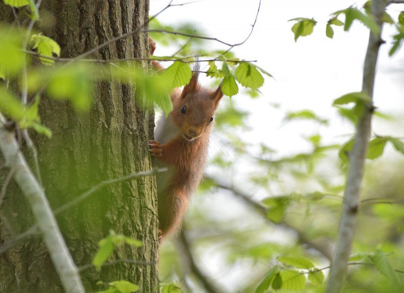 Sortie nature et photo