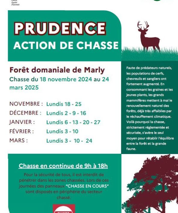 Jours de chasse 2024 - 2025_Marly-le-Roi