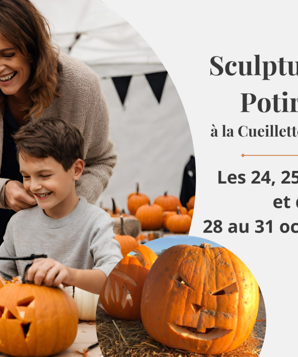 Ateliers sculpture de potirons Cueillette de Viltain