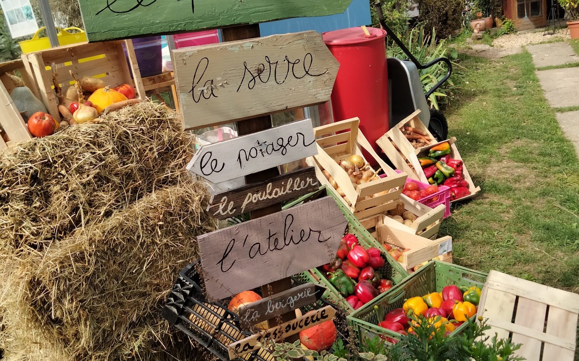 Le beau surplus de légumes et fruits