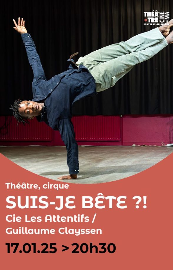 Suis-je bête ?!