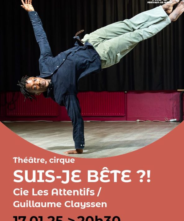 Suis-je bête ?!