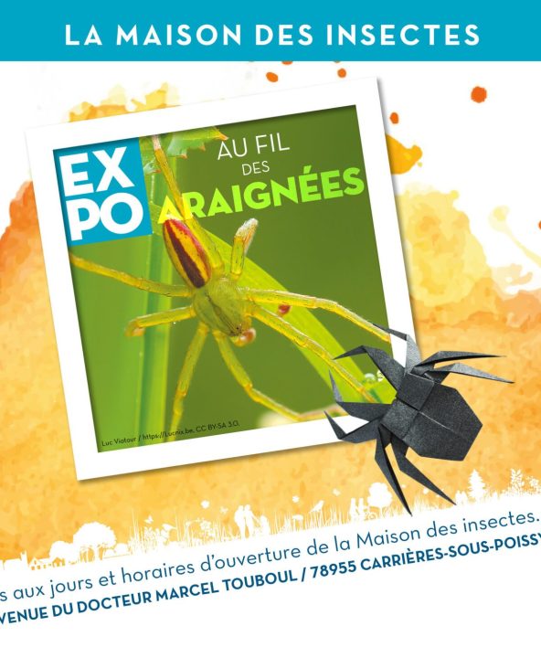 Exposition "Au fil des araignées"_Carrières-sous-Poissy