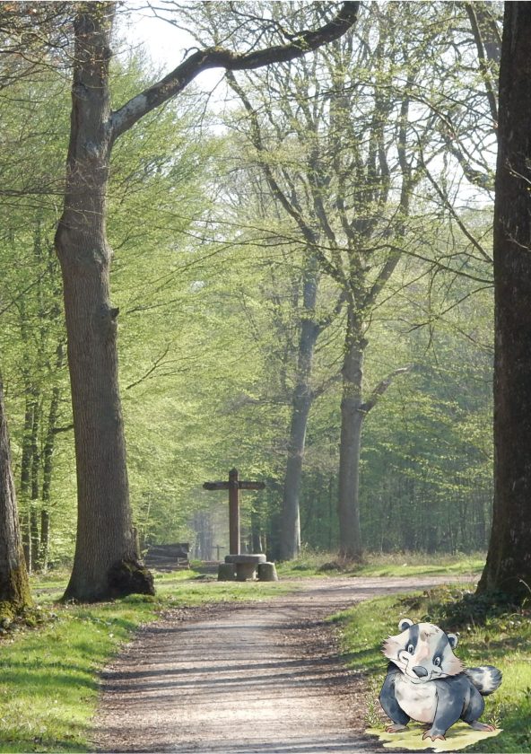 Parcours « Le Remède de Dendrocopus » en forêt départementale de Sainte-Apolline_Plaisir