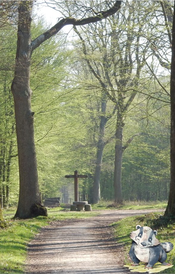 Parcours « Le Remède de Dendrocopus » en forêt départementale de Sainte-Apolline_Plaisir