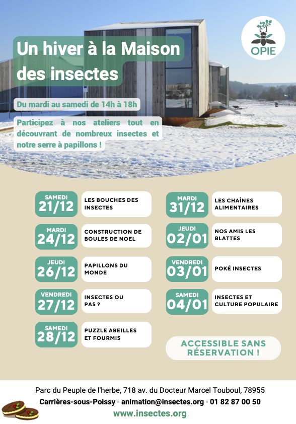 Un hiver à la maison des insectes_Carrières-sous-Poissy