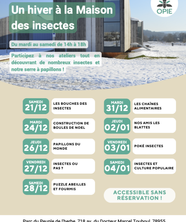 Un hiver à la maison des insectes_Carrières-sous-Poissy