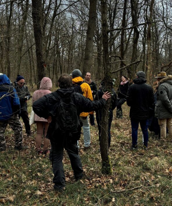 Bois du Chesnay