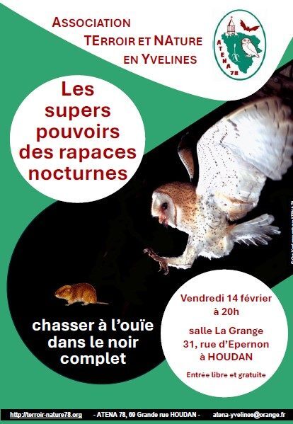 Conférence : les supers pouvoirs des rapaces nocturnes_Houdan