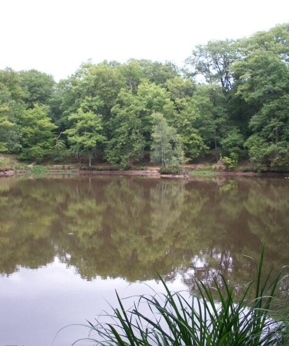 Sortie nature "Les P’tits Curieux aux mares de Vilpert"_Saint-Léger-en-Yvelines