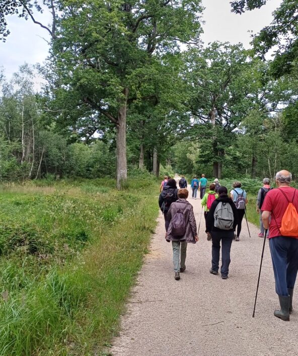 Sortie nature "Les P’tits Curieux au Pont Grandval"_Auffargis