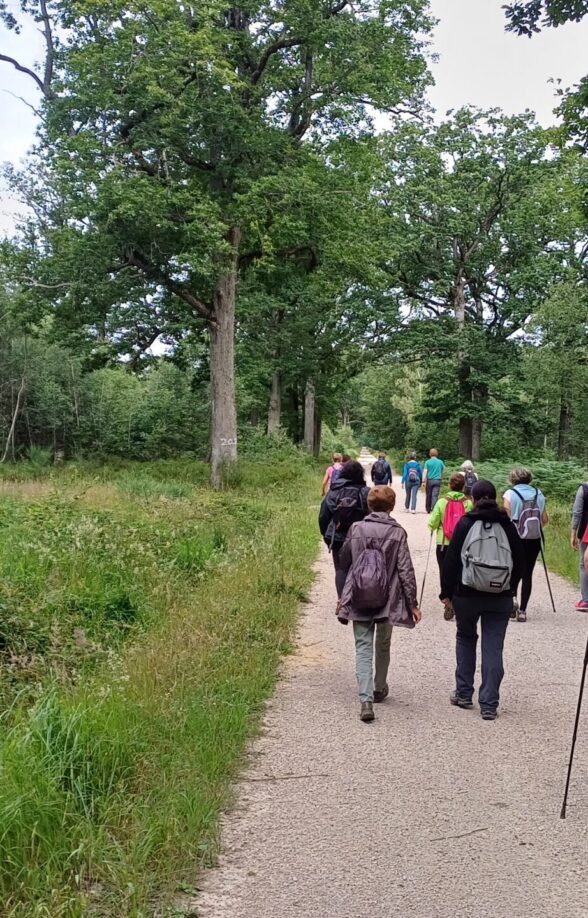 Sortie nature "Les P’tits Curieux au Pont Grandval"_Auffargis