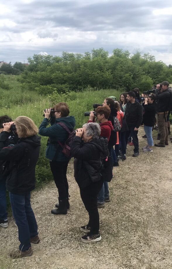 Fleurs et chants d'oiseaux au Parc_Carrières-sous-Poissy