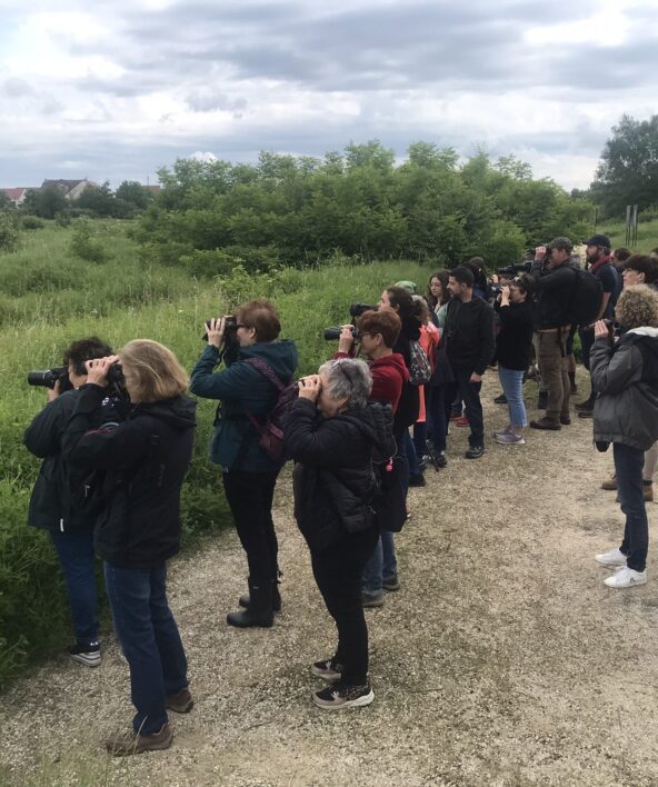 Fleurs et chants d'oiseaux au Parc_Carrières-sous-Poissy