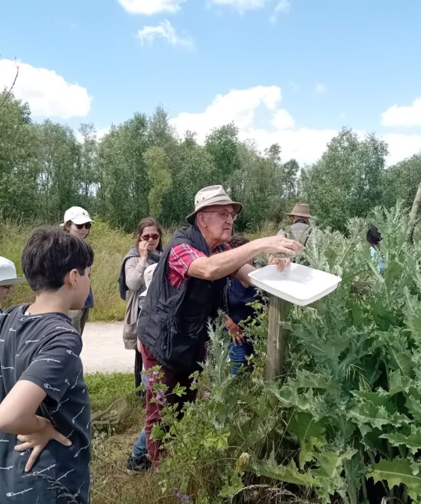 Le peuple de l'herbe_Carrières-sous-Poissy