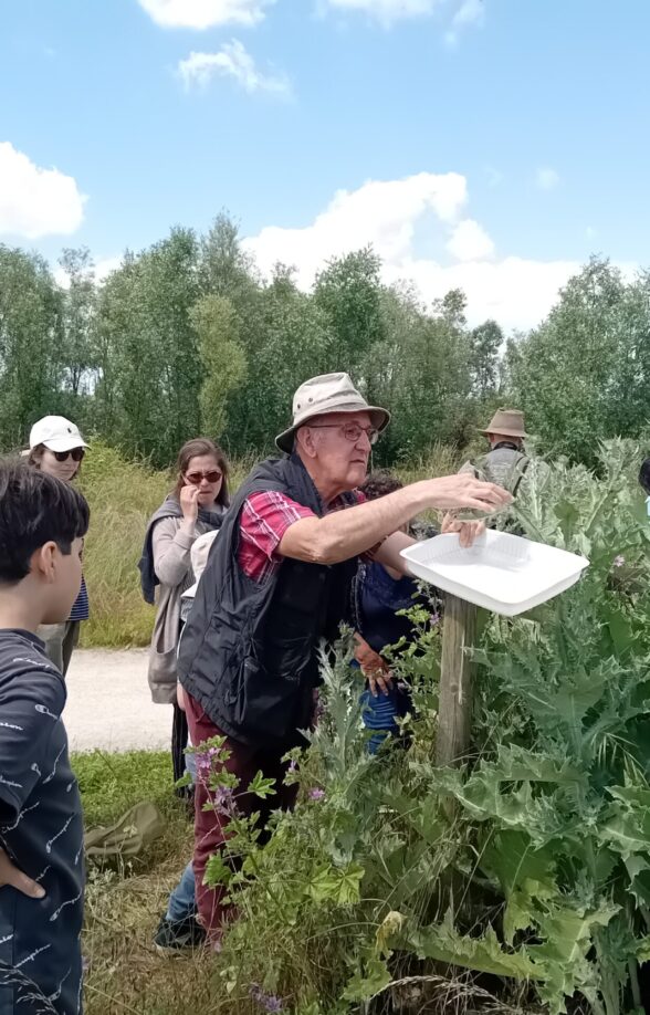 Le peuple de l'herbe_Carrières-sous-Poissy