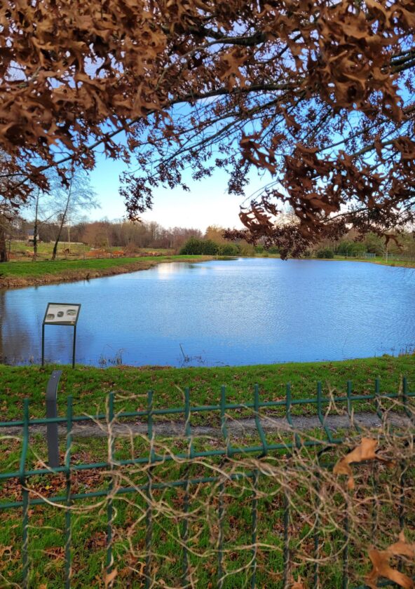 Etang de Bourdonné_Bourdonné