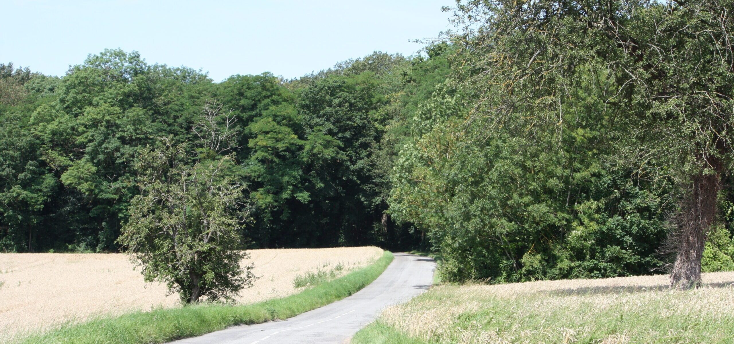 Mézy-sur-Seine