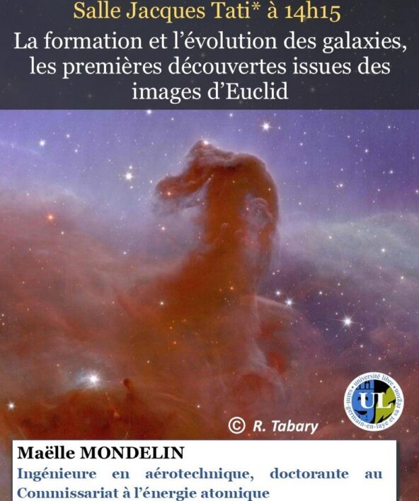 L'oiseau dans l'espace de C. Brancusi et le procès de l'art moderne