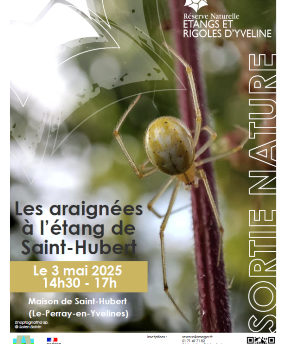 Sortie nature "les araignées à l'étang St Hubert"_Les Bréviaires