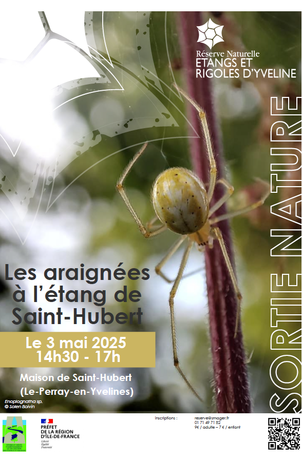 Sortie nature "les araignées à l'étang St Hubert"_Les Bréviaires